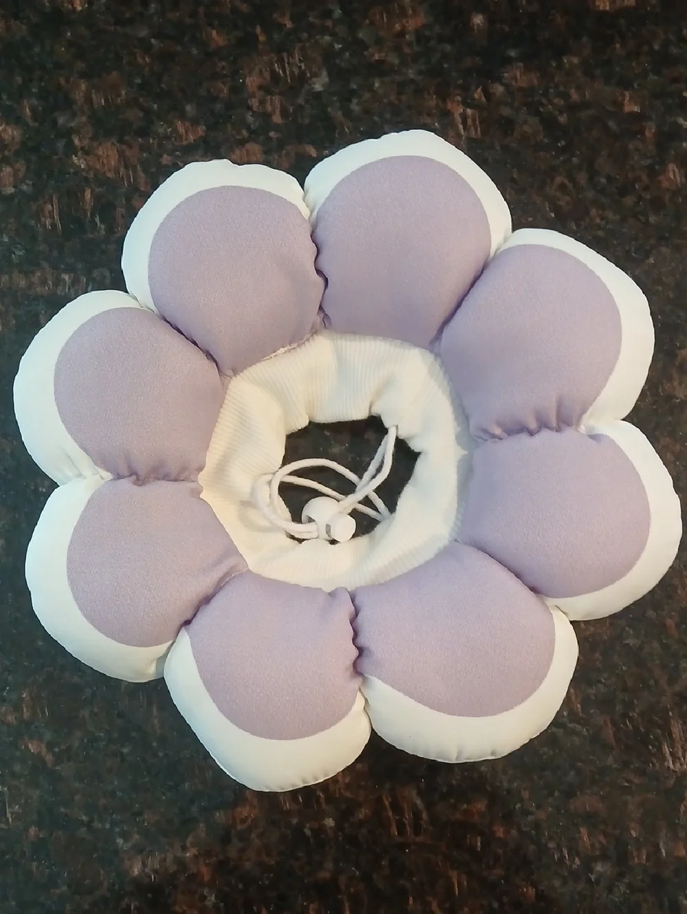 Cat Recovery Coach Collar Lavendar and White Flower Petal